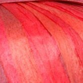117-02