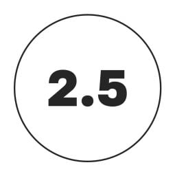 2.5 mm