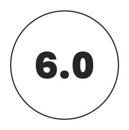 6.0 mm