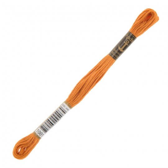ANCHOR MOULINE (MULİNE) 1001