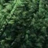 D929
